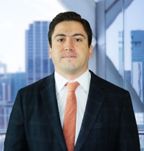 Malcolm Hemmer Rebolledo - Garrigues